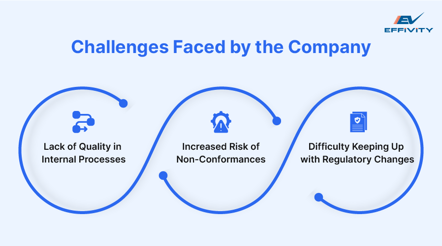 Challenges Faced by the Company